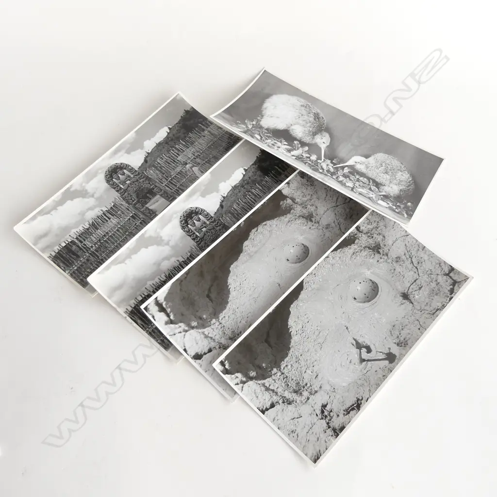 5 VINTAGE 'SCENIC NZ' PANO PHOTOS BY N.S. SEAWARD'S STUDIO DUNEDIN... Image 1++