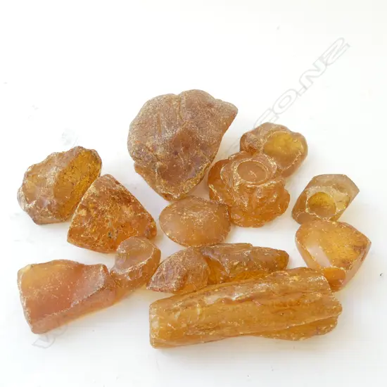 BOX LOT KAURI GUM