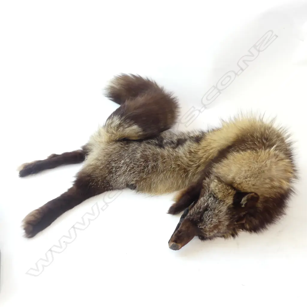 FOX FUR STOLE WITH HEAD, LEGS & TAIL Image 1++