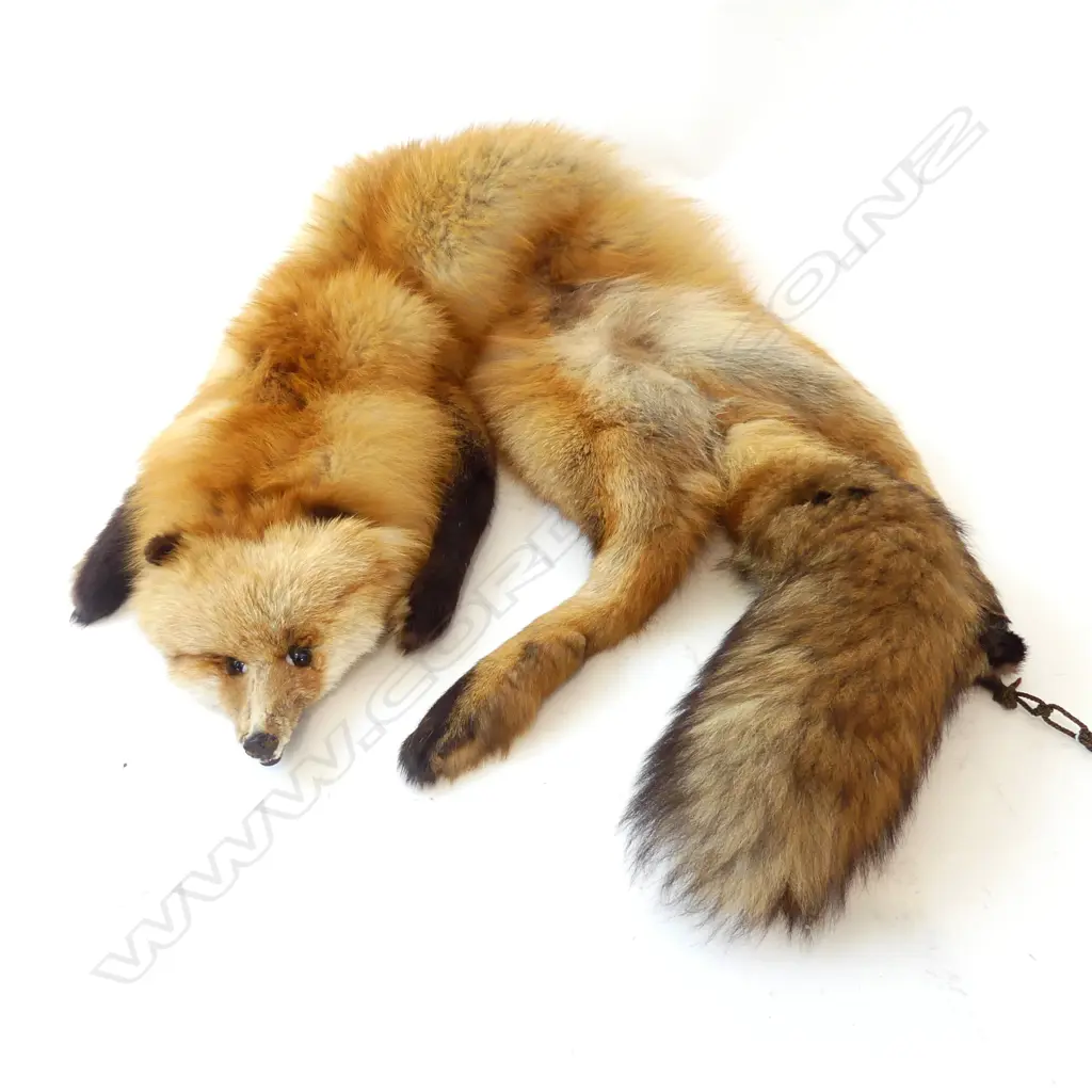FOX FUR STOLE WITH HEAD, LEGS & TAIL Image 1++