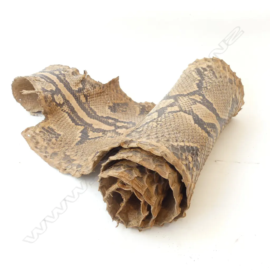 SNAKESKIN HIDE  Image 1++