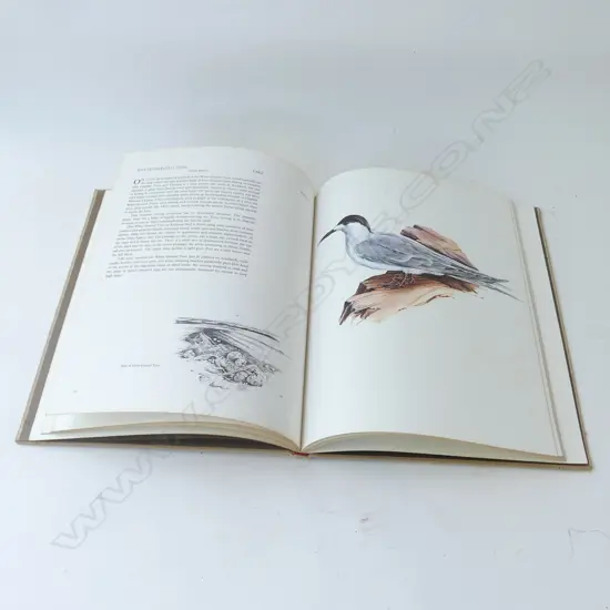 A PORTFOLIO OF NEW ZEALAND BIRDS BY BRUCE HARVEY