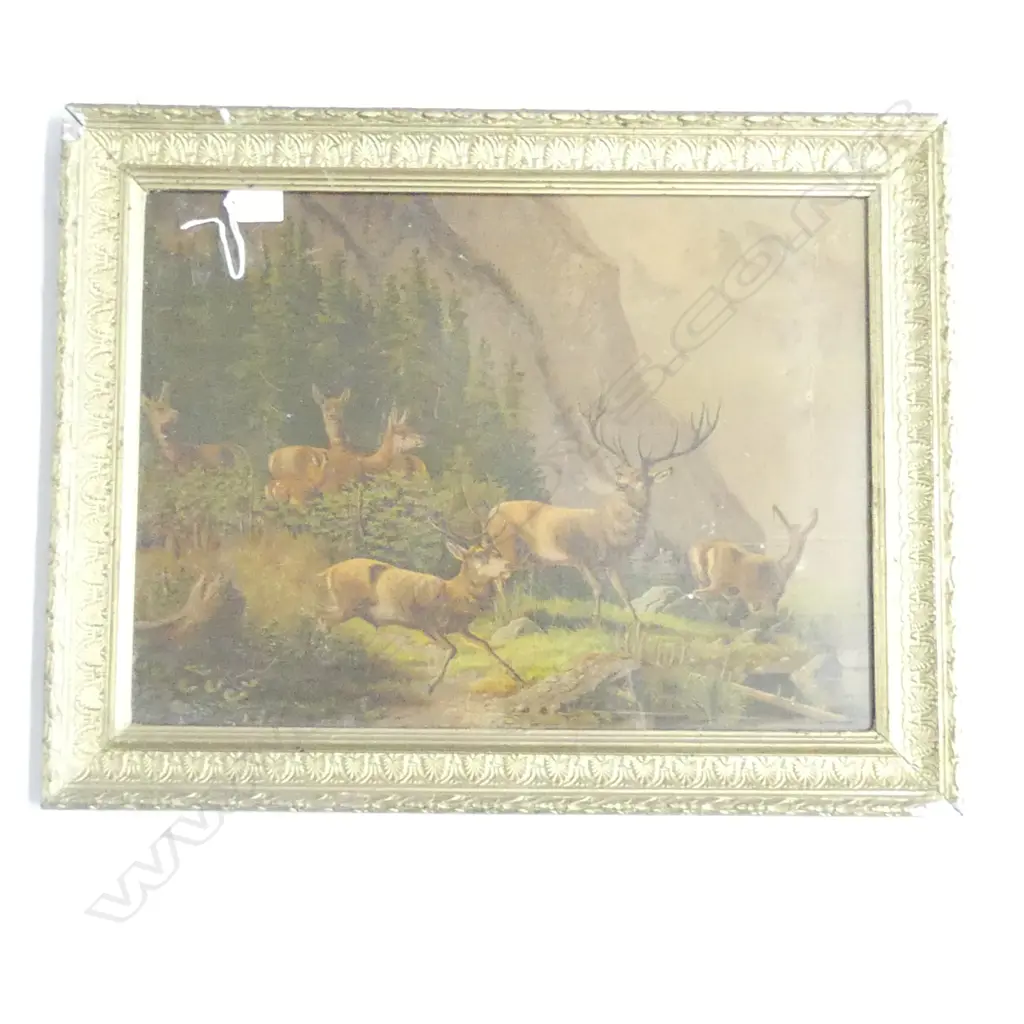 EARLY 20thC DEER PRINT, GILDED FRAME 340x460mm Image 1++
