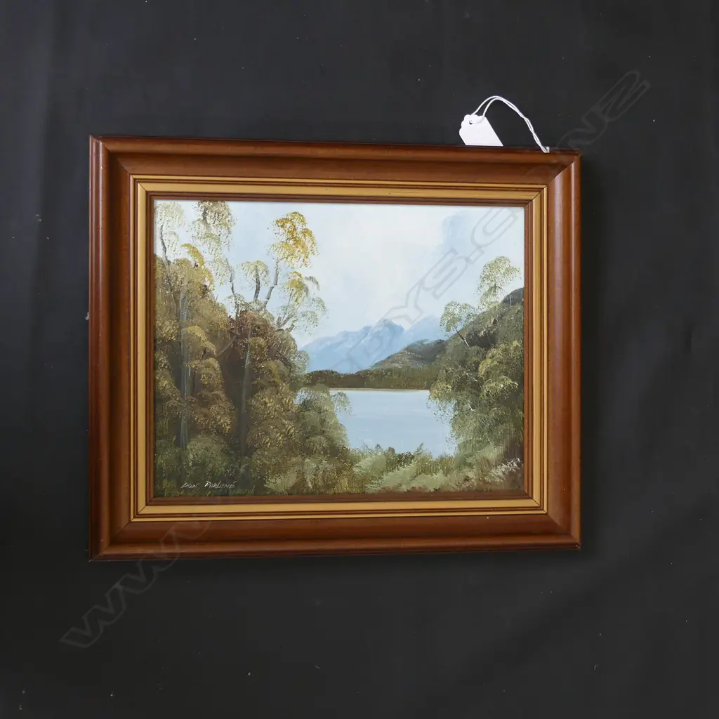 DON PARLANE OIL 'LAKE TE ANAU' 260x200mm Image 1++