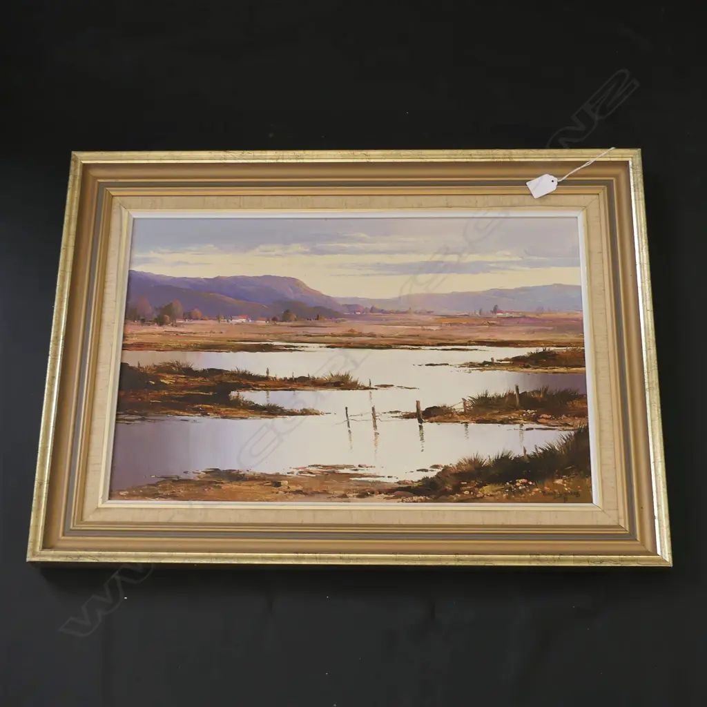 PETER WALLERS 'HAURAKI PLAINS' OIL 400x500mm Image 1++