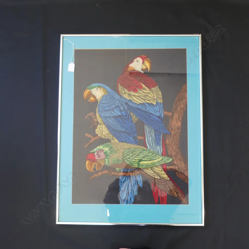 ARTIST UNKNOWN PARROT PAINTING ON VELVET 420mm x 590mm Image 1++