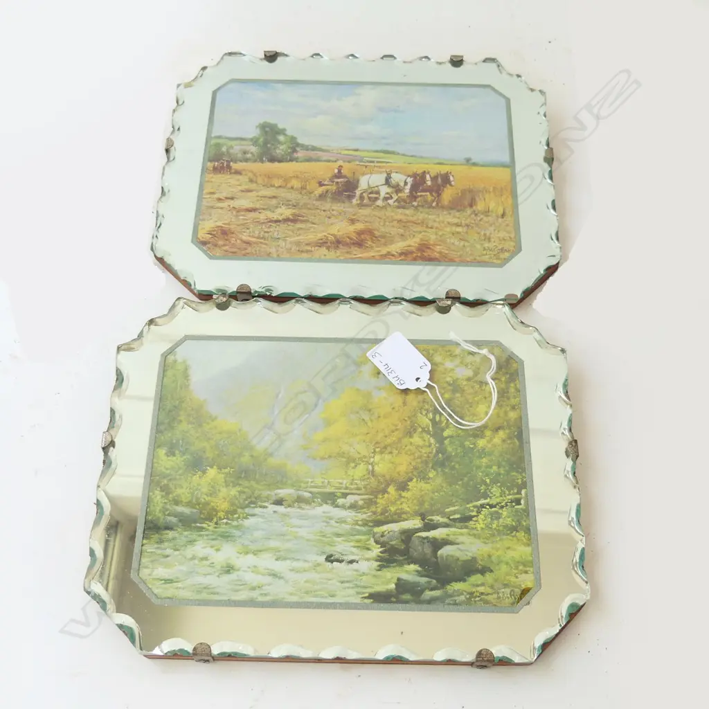 PR WOOD BACKED BEVELLED MIRROR FRAMED PRINTS 255 X 205MM Image 1++