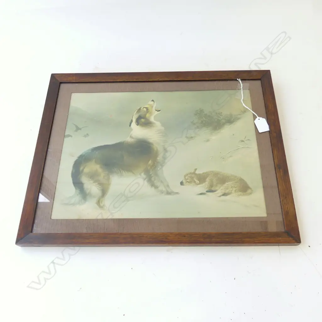 VINTAGE OAK FRAMED PRINT - HOWLING DOG & LAMB 290 X 390MM Image 1++
