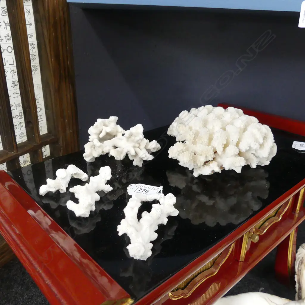 FIVE PIECES OF CORAL, INCL. BRAIN CORAL, LARGEST DIA. 140mm Image 1++