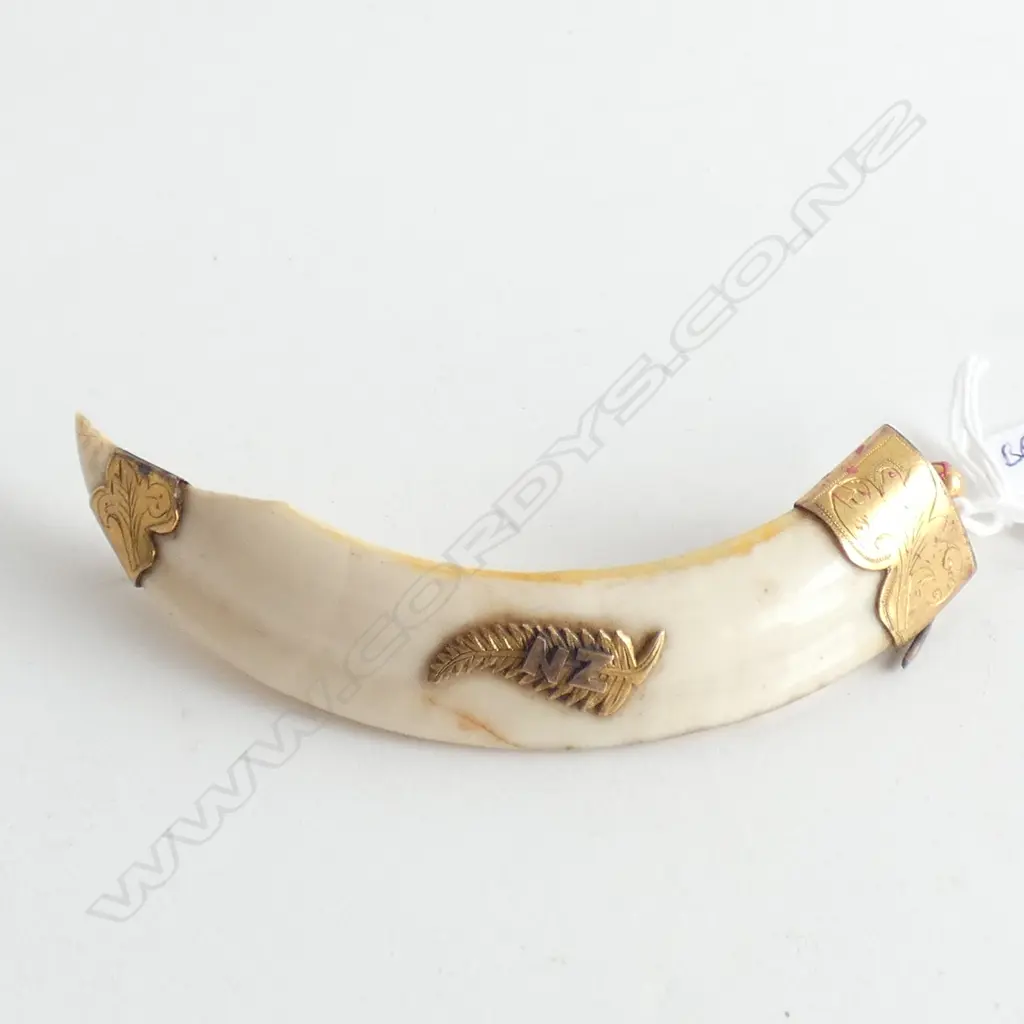 (201127) c1900 LGE 9CT MOUNTED BOARS TUSK  BROOCH... Image 1++