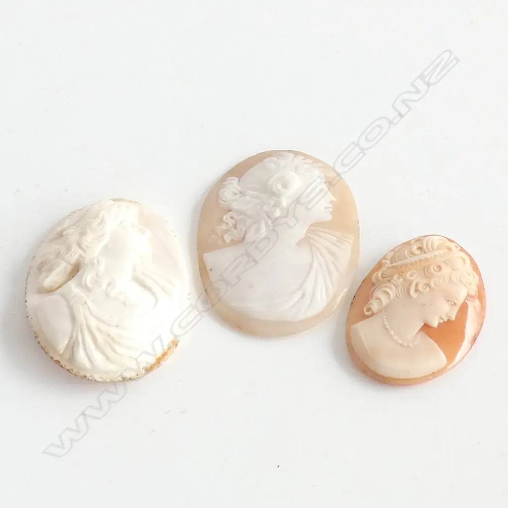 (19039) 3 ANTIQUE CARVED SHELL CAMEO BROOCH PANELS Image 1++