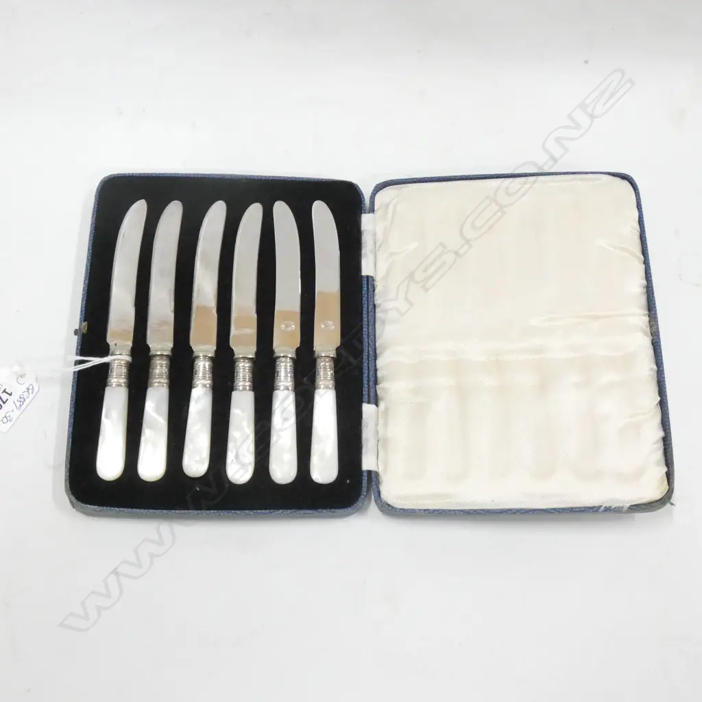 BOX SET OF 6 S/PLATED MOP FRUIT KNIVES Image 1++