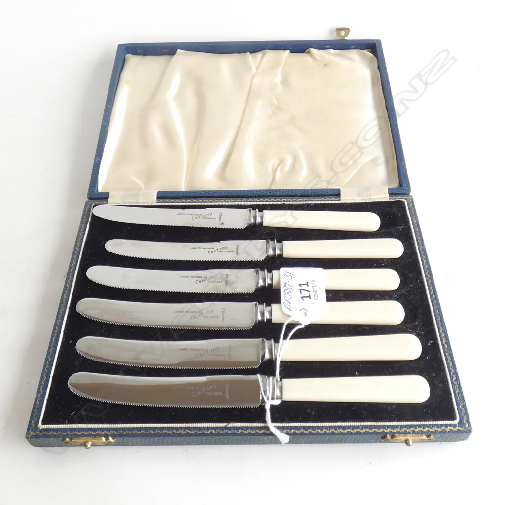 BOX SET OF 6 S/PLATED FRUIT KNIVES CASEIN HANDLES Image 1++