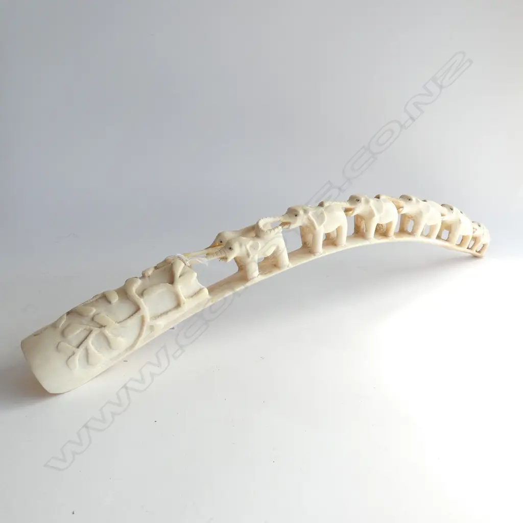 OLD AFRICAN ELEPHANT BRIDGE IVORY TUSK AF L.600mm Image 1++