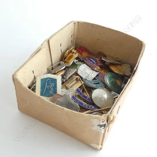 ASST. BADGES & PINS
