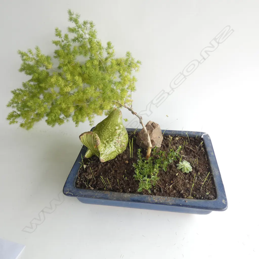 LARGE POTTED PLANT w. GREEN BIRD W.430mm Image 1++