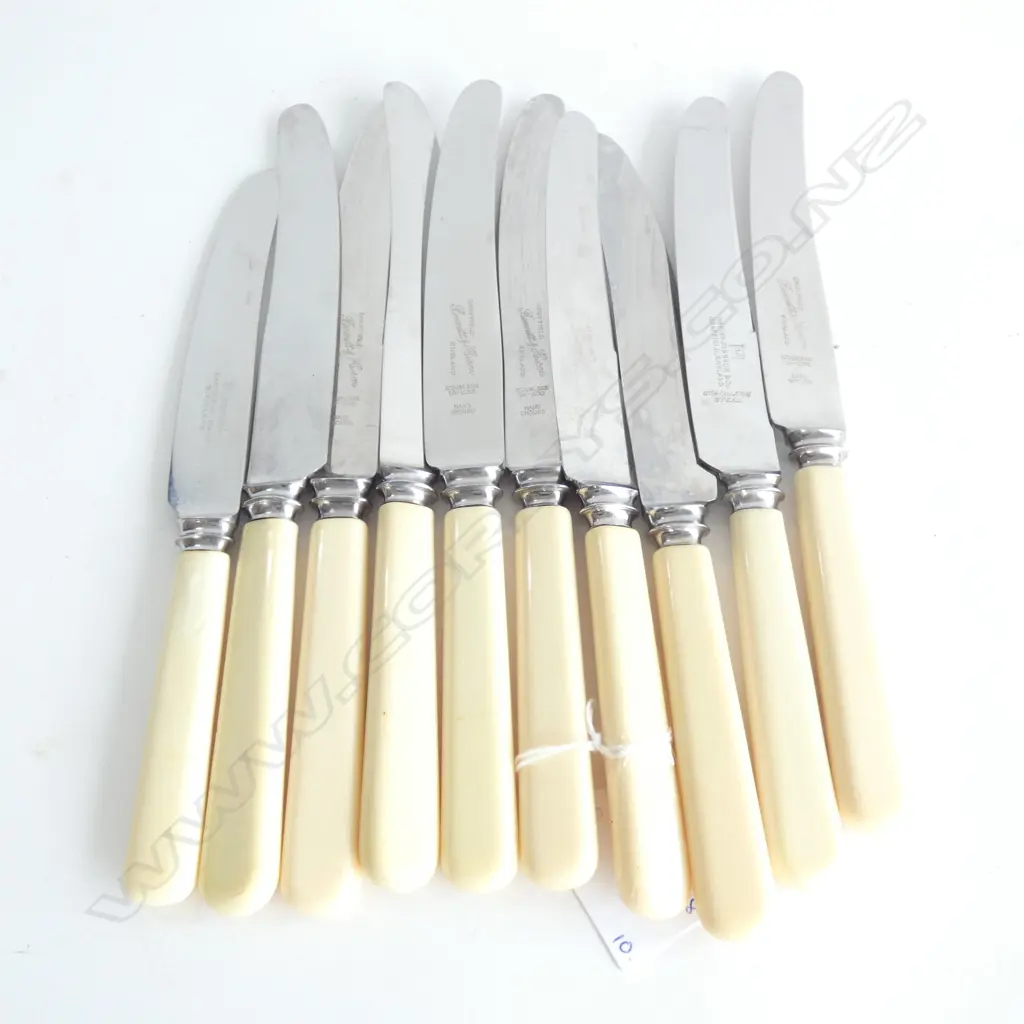 10 'BONE' HANDLED KNIVES  Image 1++