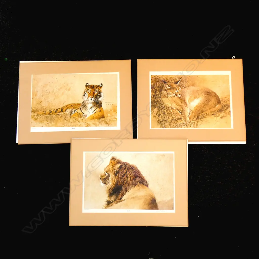 3 SIGNED LIMITED EDITION RAYMOND CHING LITHOGRAPHS Image 1++