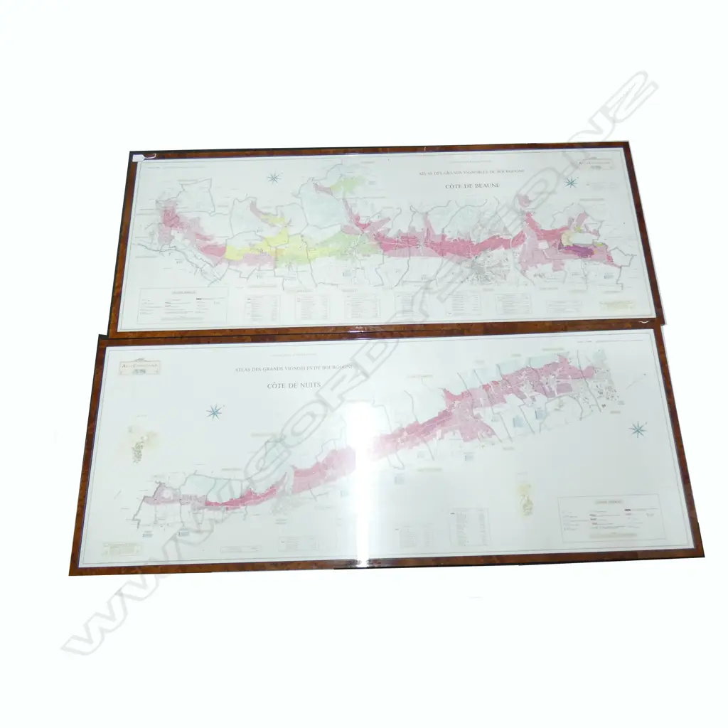 PR FRAMED MAPS COTE DE BEAUNE & COTE DE NUITS 570x1490mm Image 1++