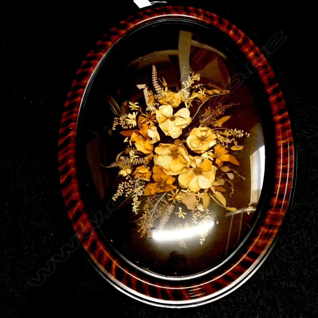 CONVEX FRAME w. DRIED FLORAL DISPLAY H.590mm Image 1++