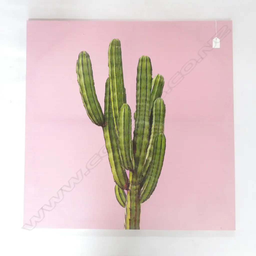 MACHINE PRINT ON CANVAS 'CACTUS' 700 X 700MM Image 1++