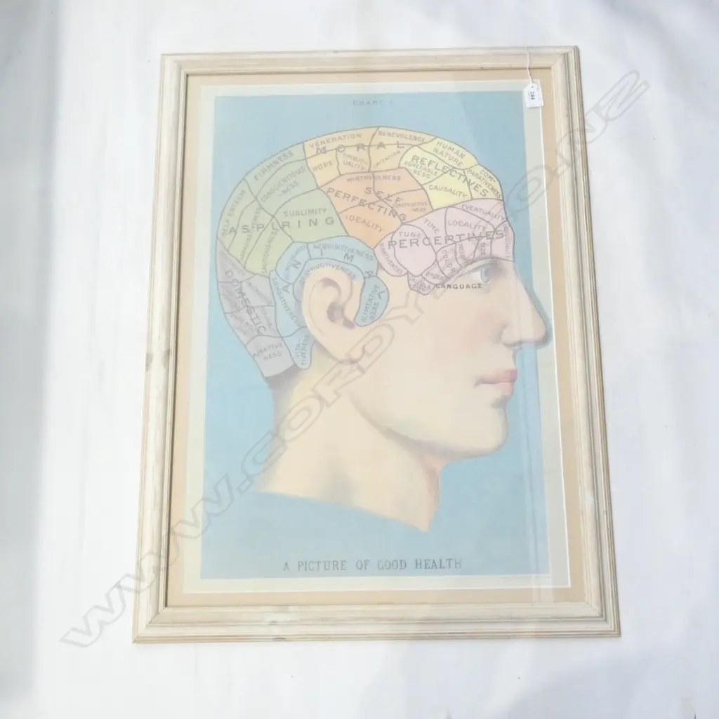 2008 PRINT 'A PICTURE OF GOOD HEALTH' FRAMED 800x600mm Image 1++