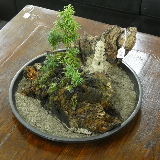 MULTI SMALL BONZAI PLANTS IN PLANTER
