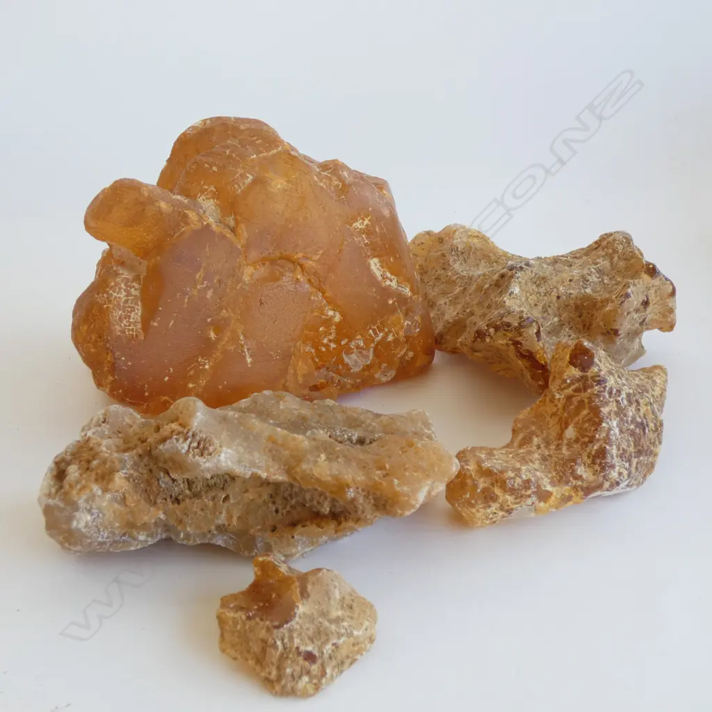 SM BOX KAURI GUM NUGGETS (16169/20134)  Image 1++