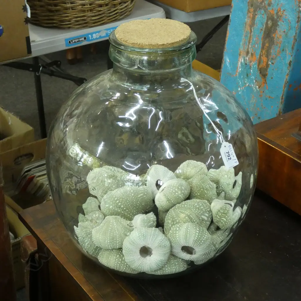 LARGE GLASS JAR w. KINA SHELLS H.360mm Image 1++