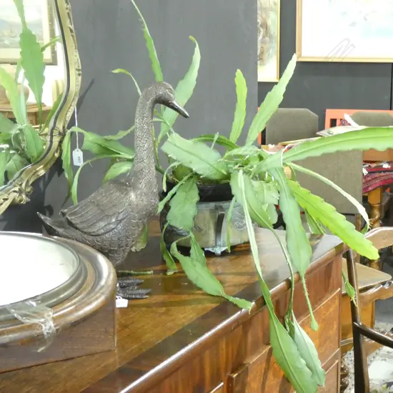 PLANT IN BRONZE BOWL 