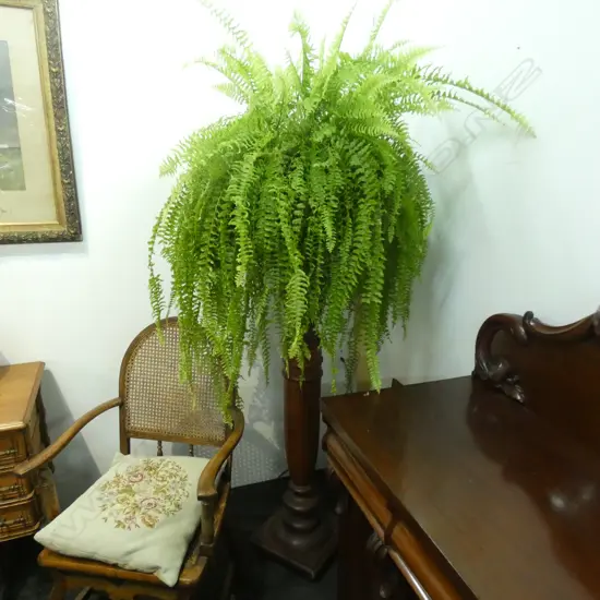 BOSTON FERN ON  TURNED WOODEN STAND H.1800mm