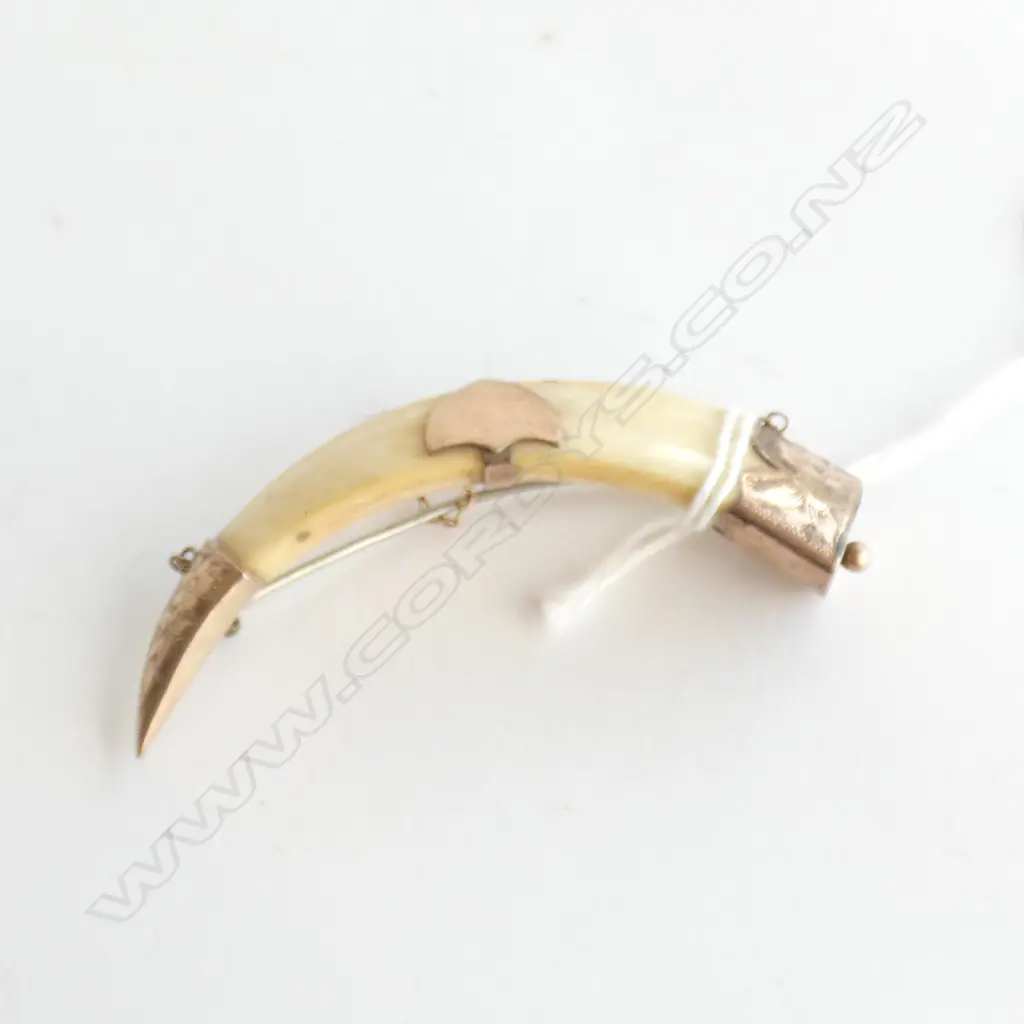 9CT ANTIQUE NZ BOAR TUSK BROOCH L.75mm Image 1++