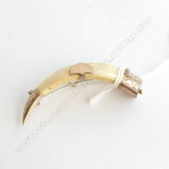 9CT ANTIQUE NZ BOAR TUSK BROOCH L.75mm