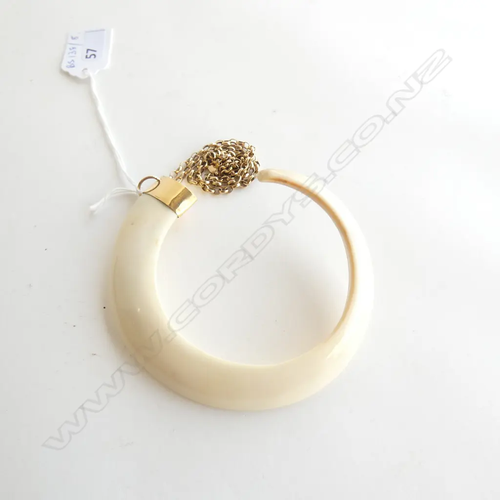 TUSK MOUNTED ON 18CT GOLD 41 GRAMS + 9CT CHAIN 8.8 GRAMS Image 1++
