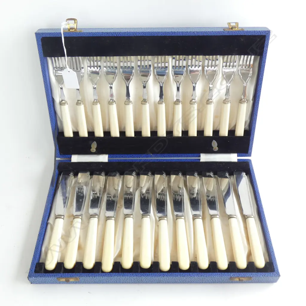 CASED SET 'BONE' HANDLED FISH KNIVES  Image 1++