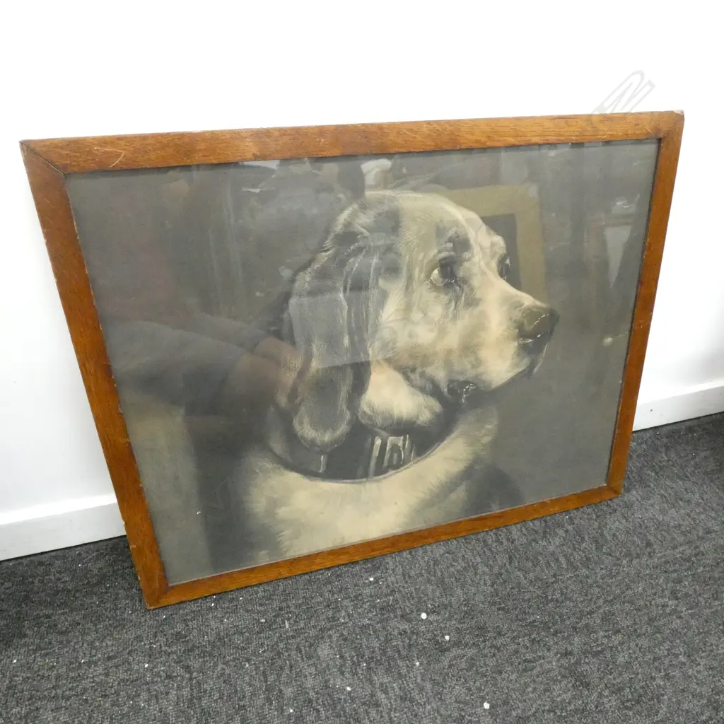 FRAMED DOG LITHOGRAPH PRINT 445x570mm Image 1++