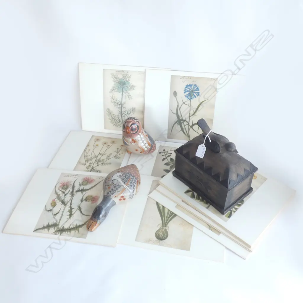 RESIN BIRD BOX L.200mm + 2 MEXICAN CERAMIC BIRDS + 12 BOTANICAL PLACEMATS Image 1++