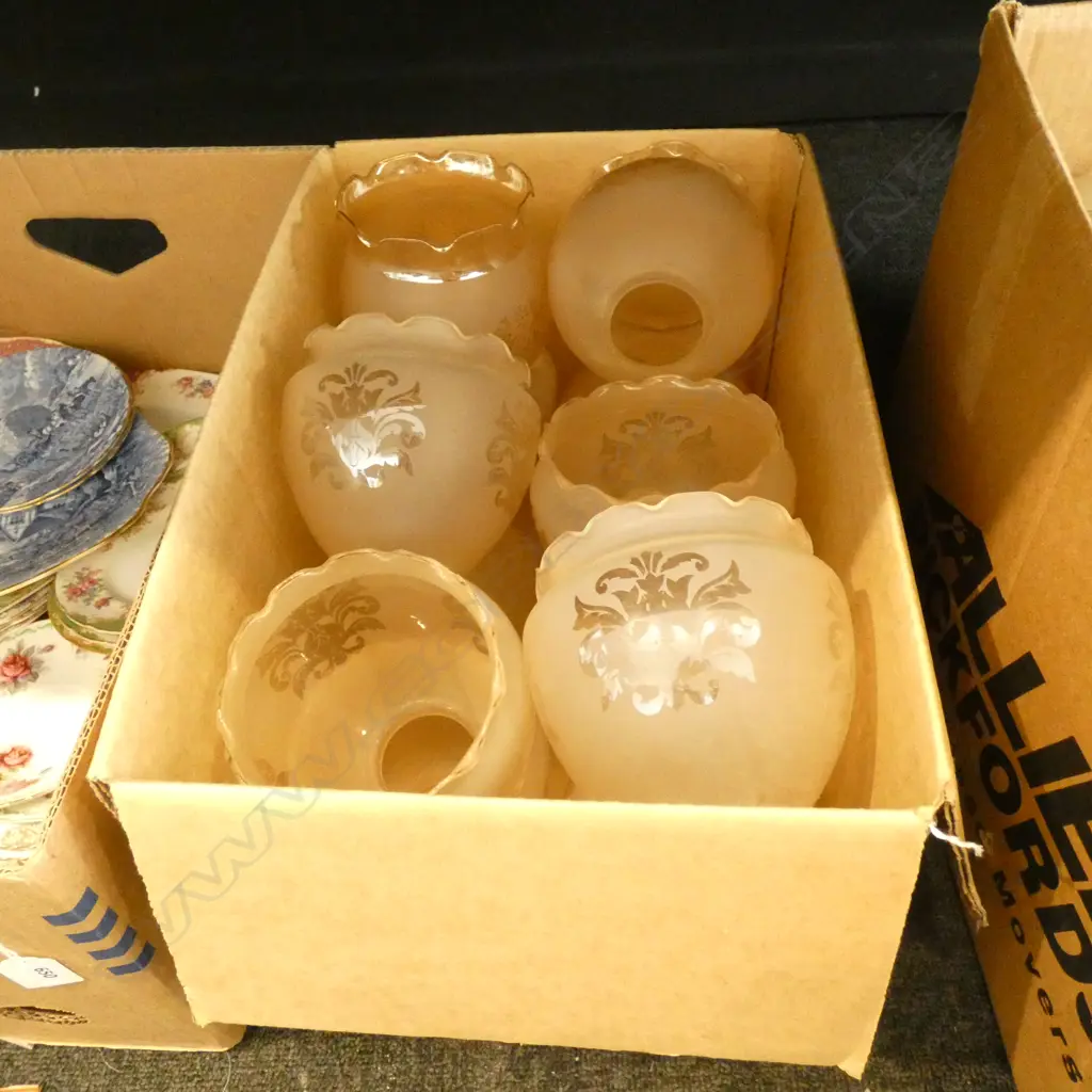 BOX LOT 12 GLASS LIGHT SHADES Image 1++