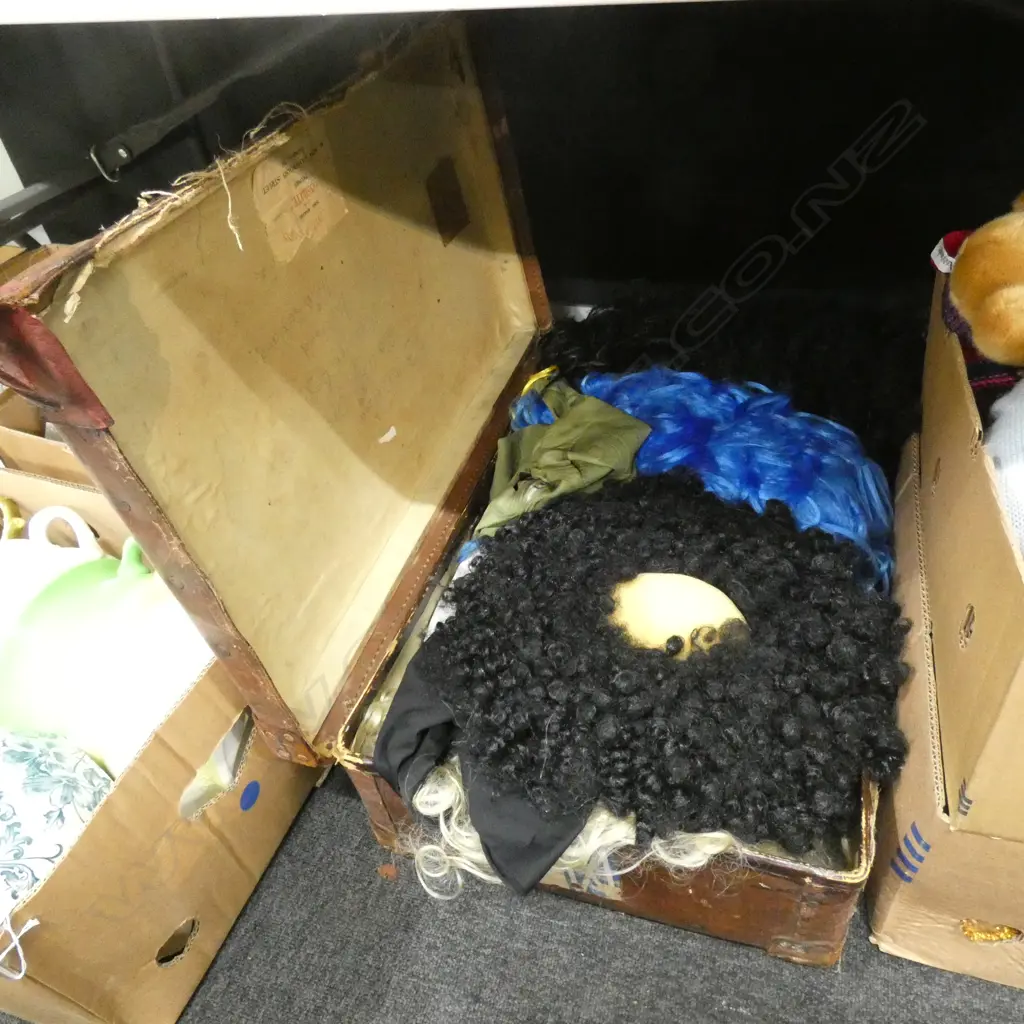 SUITCASE AND ASST CONTENTS WIGS ETC Image 1++