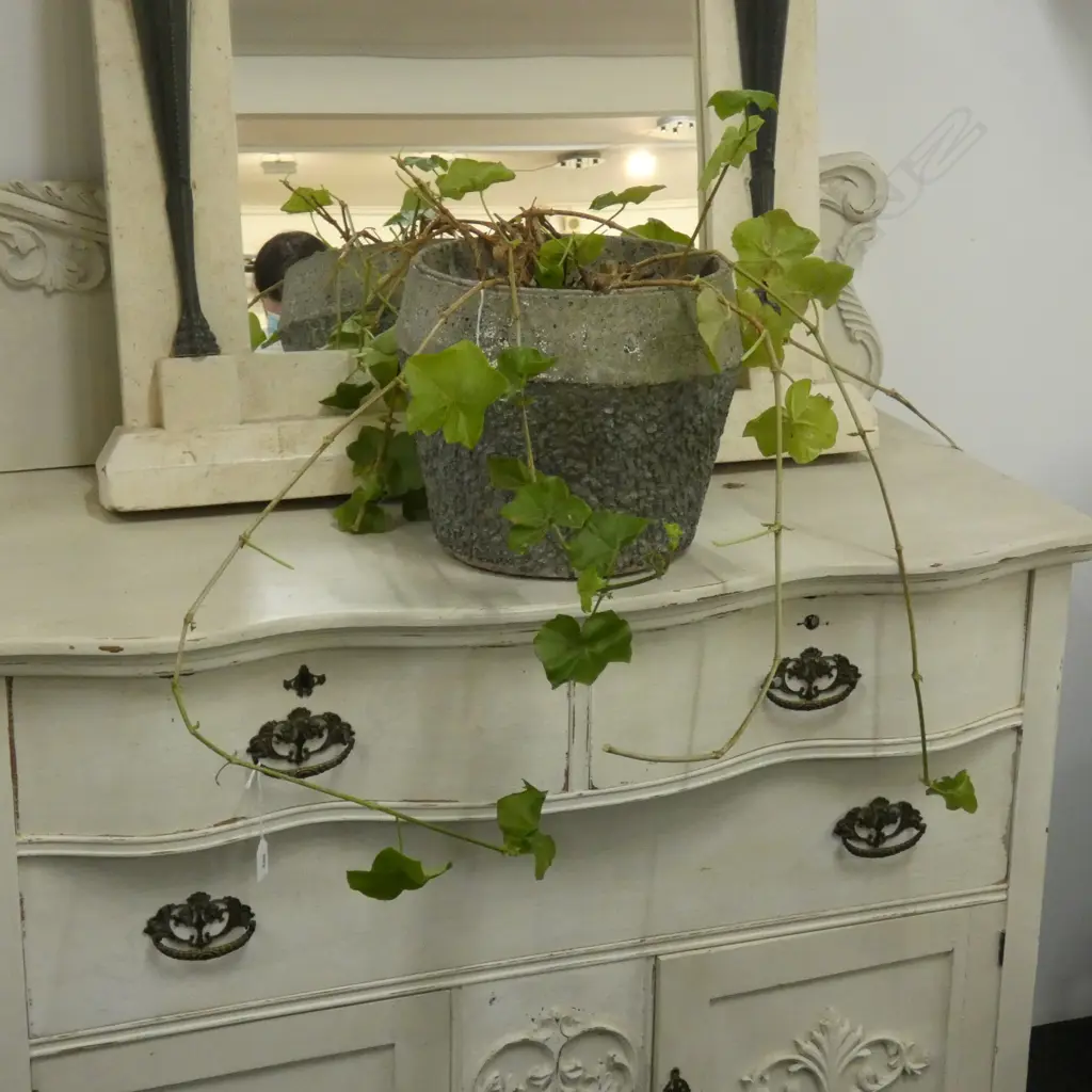 TRAILING GERANIUM Image 1++