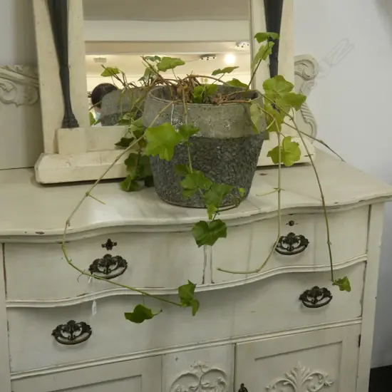 TRAILING GERANIUM