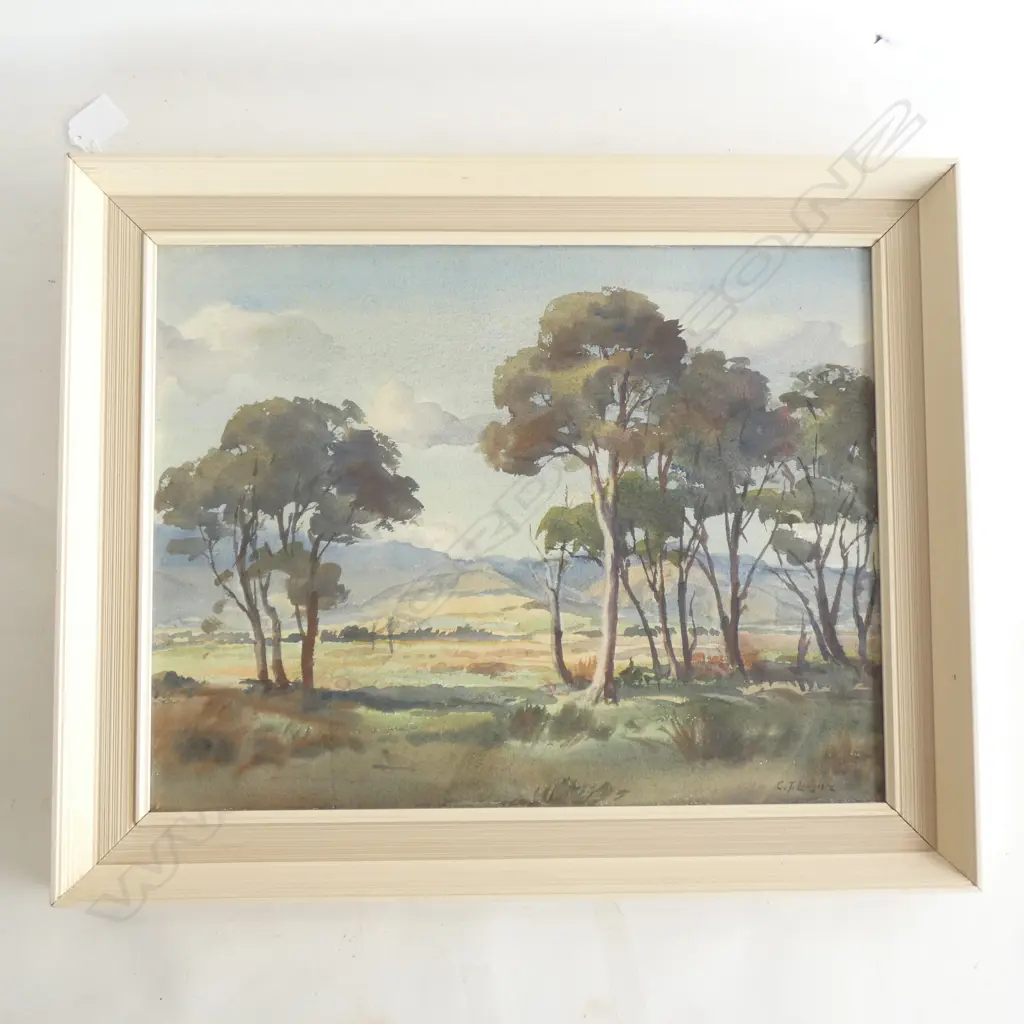 CARL THORWALD LAUGESEN (1900-1987) KANUKAS WAIRARAPA W/C 345x445mm Image 1++