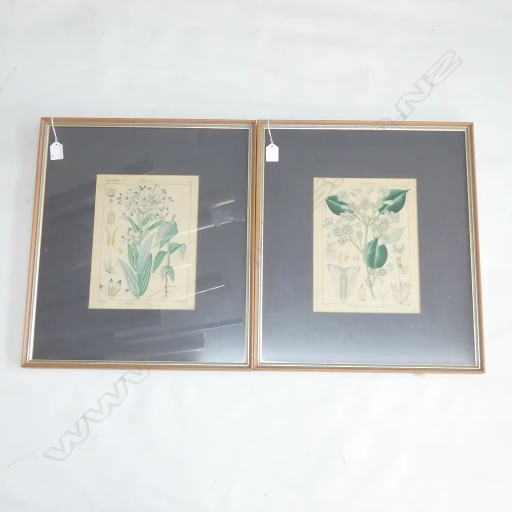 PR BOTANICAL PRINTS 260x195mm Image 1++