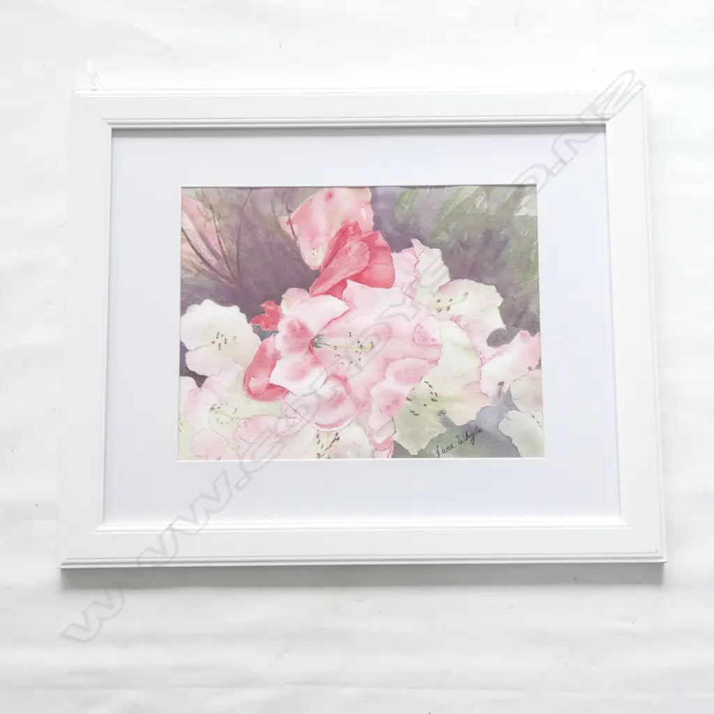 JANE WHYTE UNTITLED W/C 350 X 290MM Image 1++