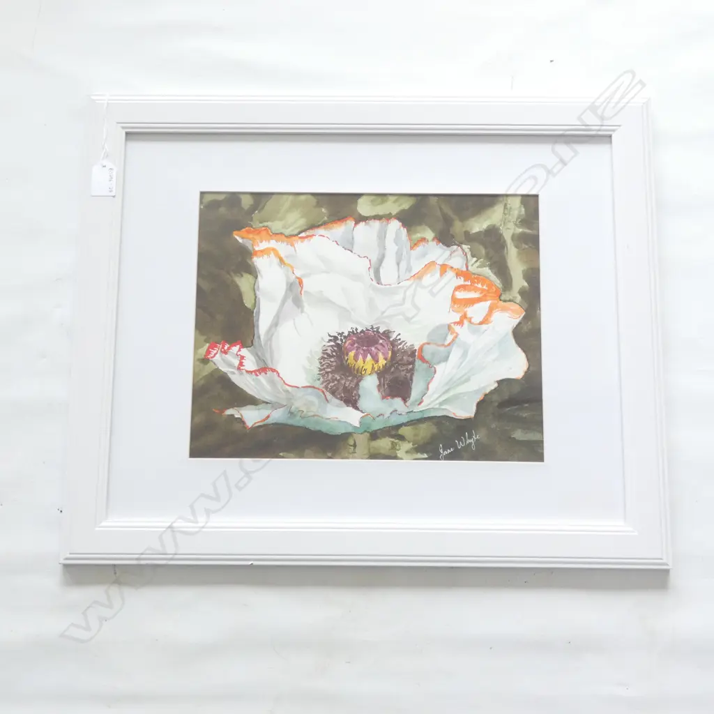 JANE WHYTE "WHITE POPPY" W/C 340 X 270MM Image 1++