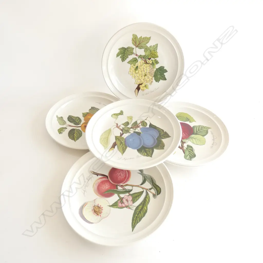 SET OF 6 PORTMEIRION PLATES 265mm dia Image 1++
