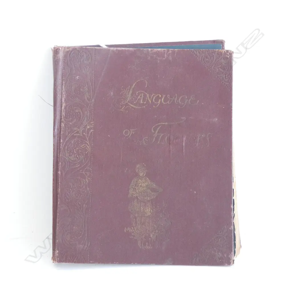 VICTORIAN BOOK - THE LANGUAGE OF FLOWERS  - AGE WEAR Image 1++