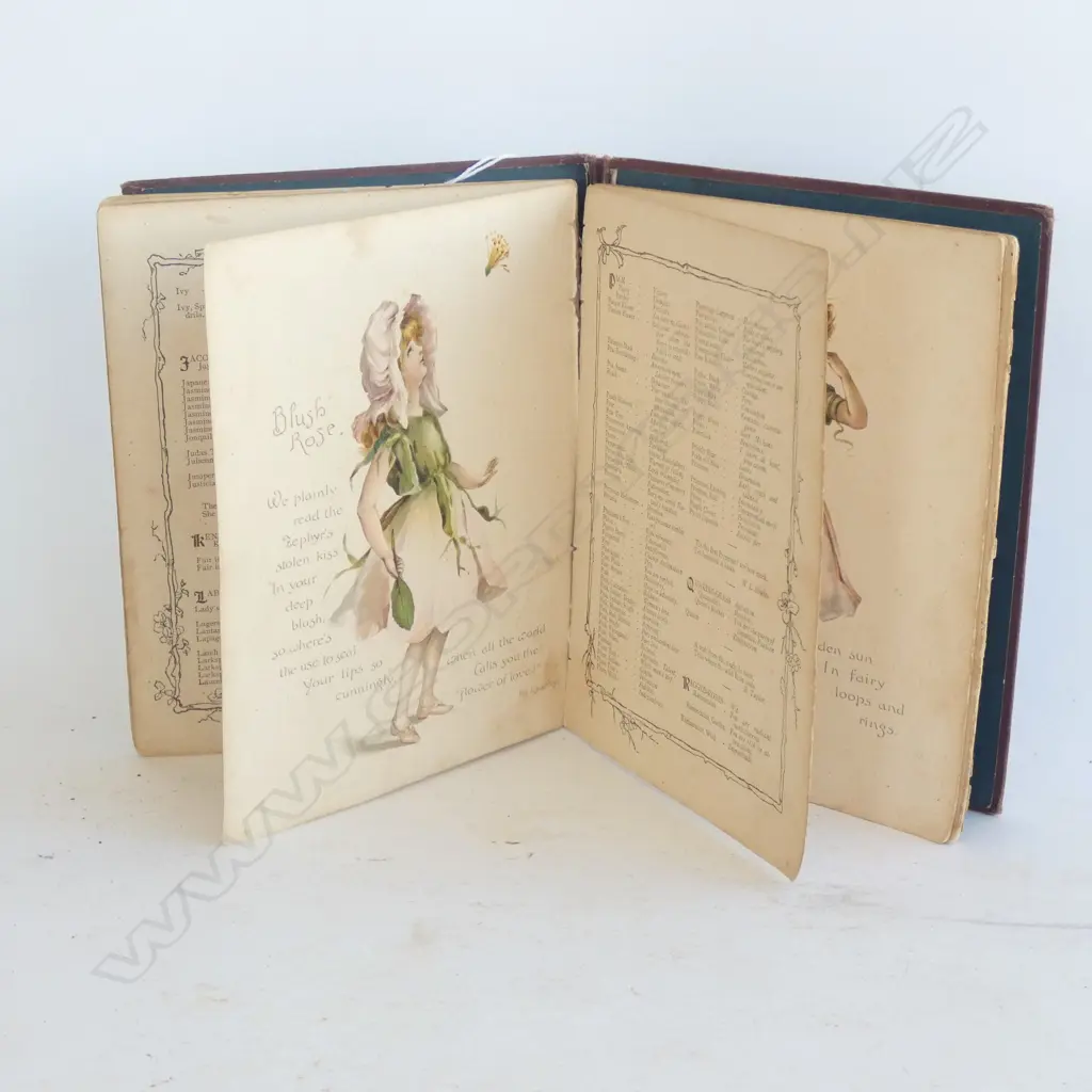 VICTORIAN BOOK - THE LANGUAGE OF FLOWERS  - AGE WEAR Image 1++