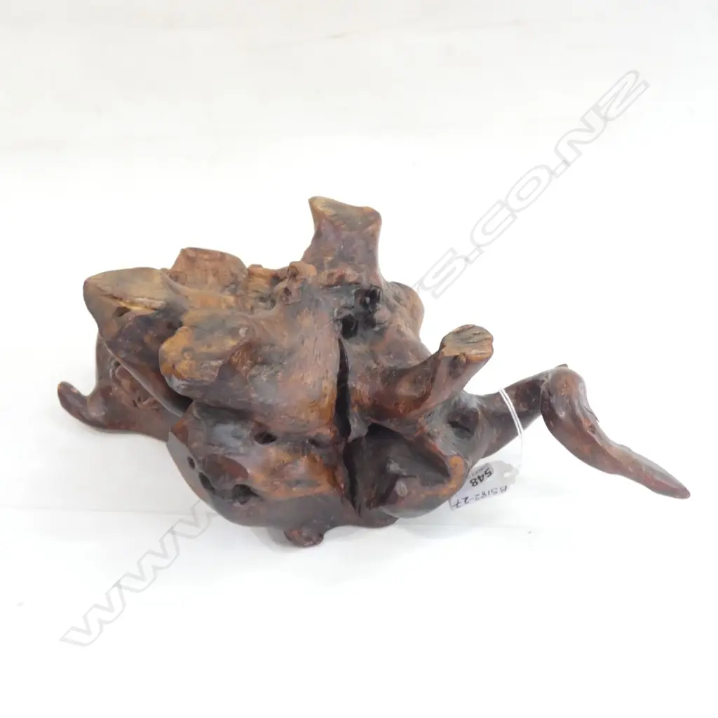 POLISHED MOUNTAIN AZALEA ROOT-WOOD VASE TABLE  H120 W343 Image 1++