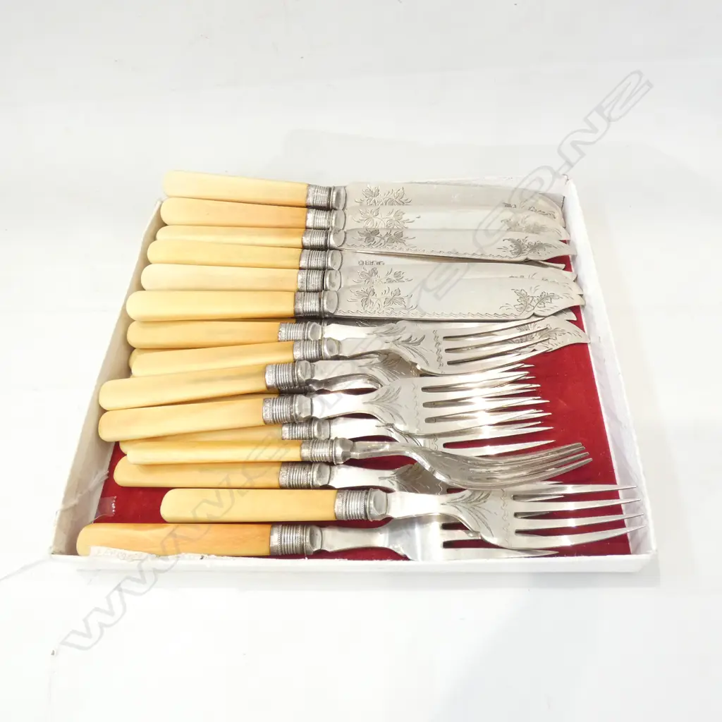 24 PC IVORY HANDLE FISH CUTLERY SET; STG SILVER FINIALS - SHEFFIELD 1902 Image 1++
